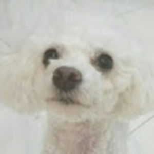 Meet your Posher, Daeun